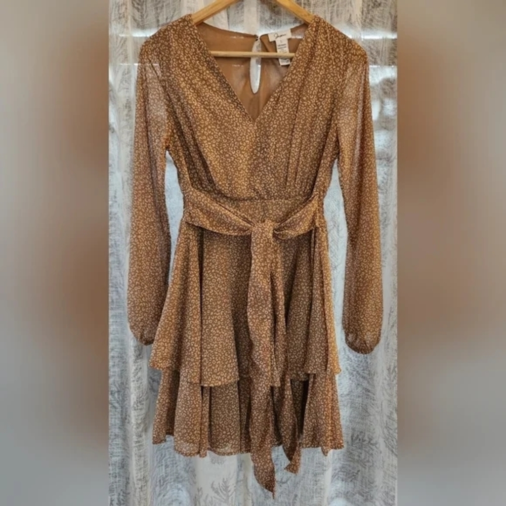 Japna Brown Dress